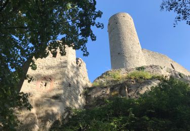 Tour Wandern Andlau - Circuit Hungersplatz Château d'Andlau - Photo