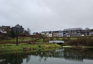 Percorso Marcia Thimister-Clermont - A la découverte de Clermont 🥾 - Photo