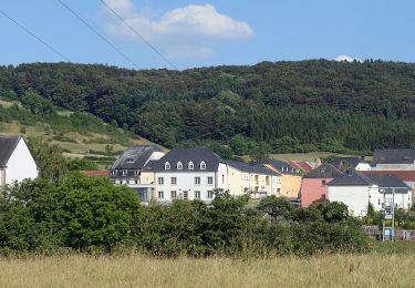 Tour Zu Fuß Ernztalgemeinde - E6 - Ermsdorf - Photo