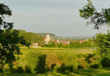 Tocht Te voet Herrenberg - Streuobsterlebnisweg Kuppingen - Photo