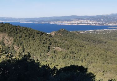 Trail Walking La Seyne-sur-Mer - janas  notre Dame du mai - Photo