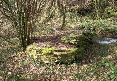 Percorso A piedi Culey-le-Patry - Le Mouin du Fay - Photo