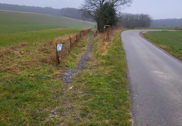 Tocht Stappen Gerpinnes - Fromiee 110225 - Photo