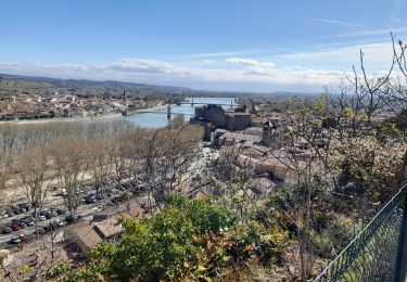 Excursión Senderismo Tournon-sur-Rhône - charray3 - pas du géant-belvédère  - Photo