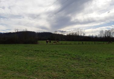 Tour Wandern Baudreix - BAUDREIX RS Le tour de la saligue