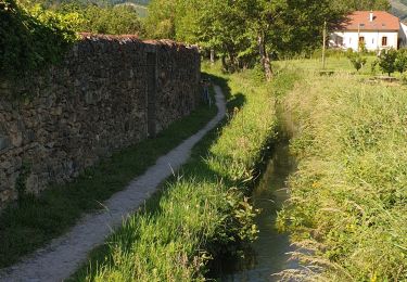 Trail Walking Nant - Carmat-Nant-Montredon - Photo