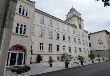 Excursión A pie Gemeinde Katzelsdorf - Fuchs Runde