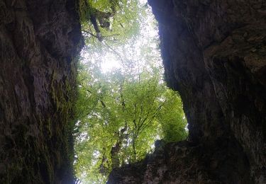 Tocht Stappen Choranche - du tunnel d'Arbois à la Goulandiere - Photo