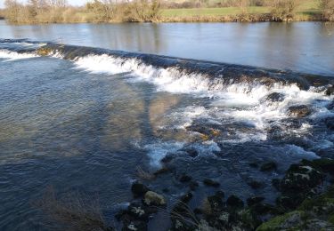 Trail Walking Rennes-sur-Loue - Rennes sur Loue - Photo