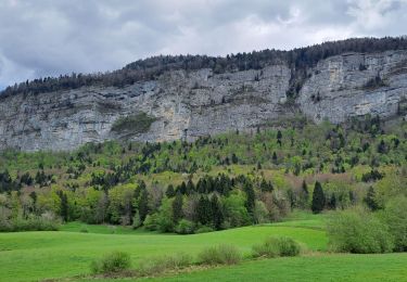 Trail Walking Saint-Offenge - st offenge-15-04-34 - Photo