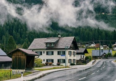 Tocht Te voet Gosau - Gosau Geo Rundweg - Photo