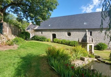 Trail Walking Ploemel - PR_56_Ploemel_BA_02_Chapelles-Et-Fontaines_Circuit1b_20230810 - Photo