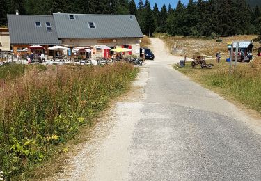 Tour Wandern Autrans-Méaudre en Vercors - Geve, pas brochier, pas de la clé, la glacière,   - Photo