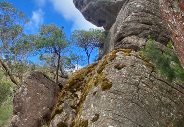 Excursión Senderismo  - The Pinacle Grampians Nationaal Park Victoria Australie - Photo