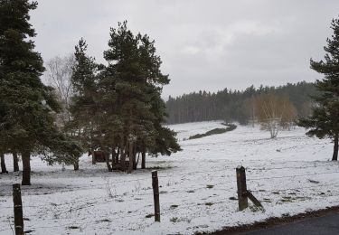 Tour Wandern Peyre en Aubrac - Aumont Aubrac / Le Py auberge les gentianes  - Photo