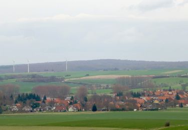 Tocht Te voet Bühren - Rundwanderweg Bühren 1 - Photo