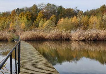 Randonnée Marche Kruibeke - Kruibeke Polders - Photo