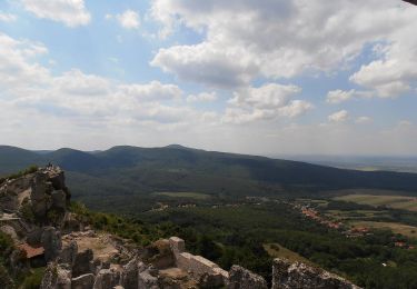 Trail On foot Háromhuta - P■ (Óhuta - Tábor-hegy) - Photo