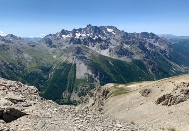 Trail Walking Ceillac - Tête Girardin - Photo