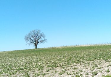 Randonnée Vélo électrique Molières - MOLIÈRES 04042024 - Photo