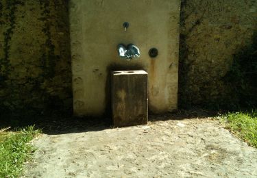 Percorso Marcia Bonnelles - Bornnelles - Photo