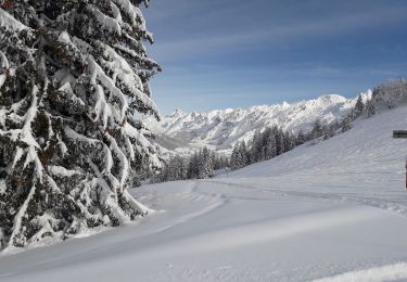 Excursión Esquí de fondo La Clusaz - plateau de beauregard - Photo