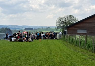 Randonnée Marche Stoumont - Marche ADEPS Stoumont 15 km - Photo