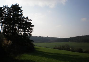 Excursión A pie okres Piešťany - SK-Náučný chodník Čerenec, Tlstá Hora, Malá Pec, Veľká Pec, Barónov hrob - Photo