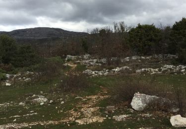Tour Wandern Saint-Vallier-de-Thiey - Croix de Cabris - Photo