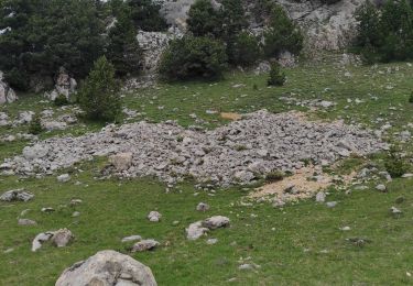 Tocht Stappen Saint-Agnan-en-Vercors - Drôme carrières romaines - Photo