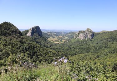 Excursión A pie Mont-Dore - Le plateau du Guery - Photo