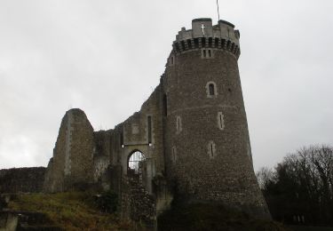 Trail Walking La Bouille - 20181206-La Bouille - Photo