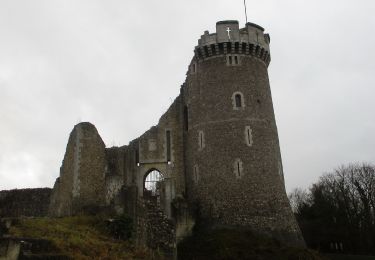 Tour Wandern La Bouille - 20181206-La Bouille - Photo