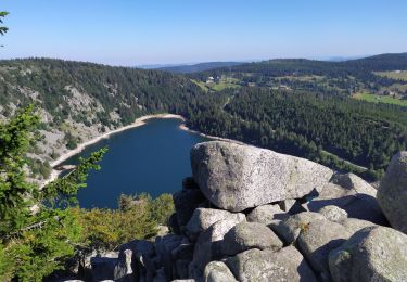 Tour Wandern Urbeis - Lac Blanc - Photo