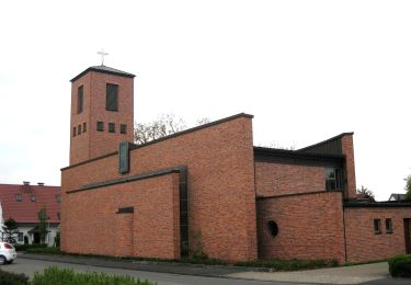 Tocht Te voet Steinhagen - Steinhagen Rundweg A12 - Photo