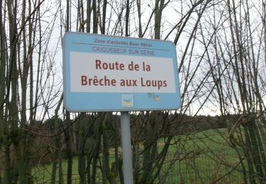 Tour Wandern Criquebeuf-sur-Seine - 20240220-Criquebeuf  Cool - Photo