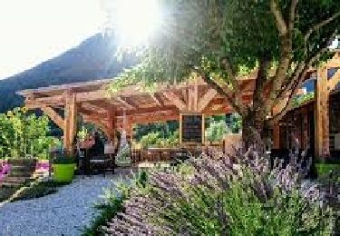 Trail On foot Castellane - SityTrail - Castellane: Le tour du Roc - Photo