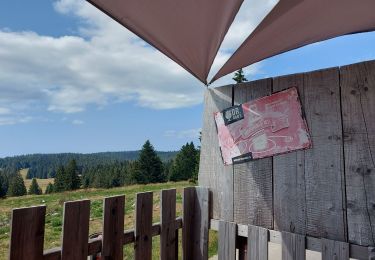 Randonnée Marche Prémanon - col de la porte et de la Dole - Photo