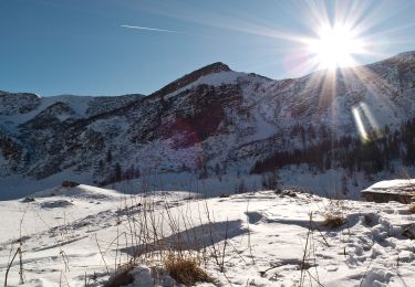 Percorso A piedi Bagolino - Villa Roma - Passo Brealone - Photo