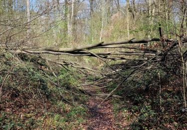 Tour Wandern Saint-Jean-aux-Bois - saint jean - Photo