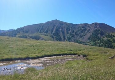 Tour Wandern Saint-Dalmas-le-Selvage - Pointe vinaigre - Photo