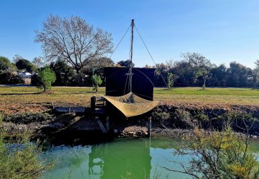 Randonnée Marche Noirmoutier-en-l'Île - Jeun et Rando J4 Balade en solo PM - Photo