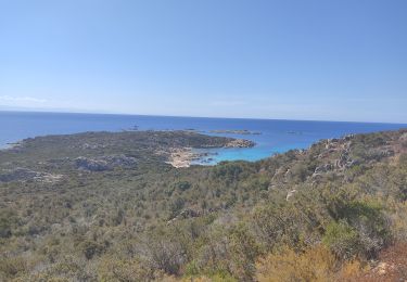 Excursión Senderismo Pianottoli-Caldarello - Spassighjata di Bruzzi - Photo