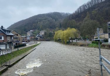 Randonnée Marche Aywaille - Aywaille - Photo