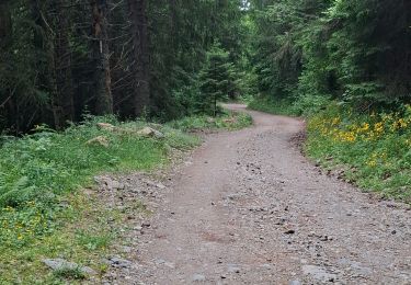 Percorso Marcia Laval-en-Belledonne - LES LACS DU VENETIER - Photo