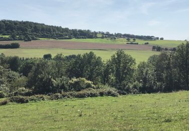 Trail Walking Ferrières - xhoris-les-baty-vers-le-centre- - Photo