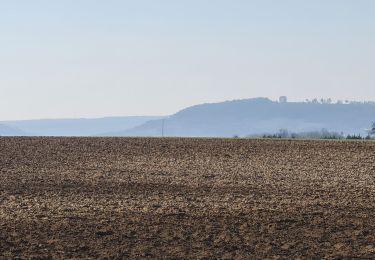 Tour Wandern Flirey - Flirey circuit des Vignottes - Photo