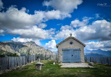 Trail On foot Soccia - Lac de CRENA et Chapelle St Eliseo - Photo
