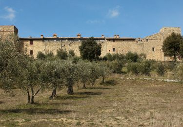 Randonnée A pied Marsciano - Compignano - Monte Lagello - Mercatello - Photo