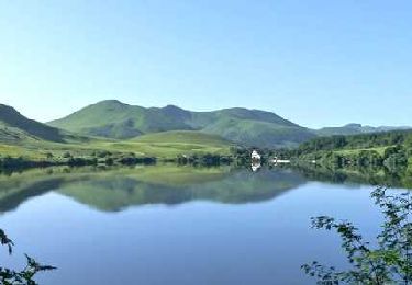 Tocht Stappen Orcival - Guery_Plateau - Photo